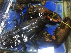 -无锡天鹏食品城