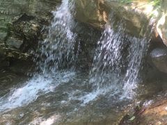 -兴福老面馆(寺路街店)