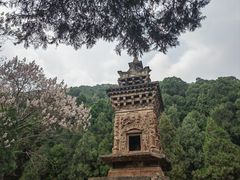 -四门塔风景区