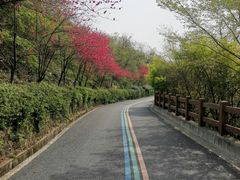 -杭州半山国家森林公园