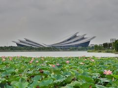 -紫薇公园