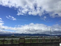 -豆政(金閣寺境内売店)
