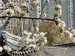 -铁像寺水街