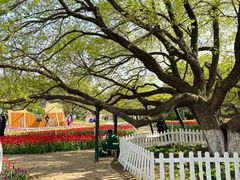 -沈阳植物园