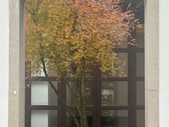 -杭州西子湖四季酒店-WL BISTRO西湖餐厅(灵隐路店)