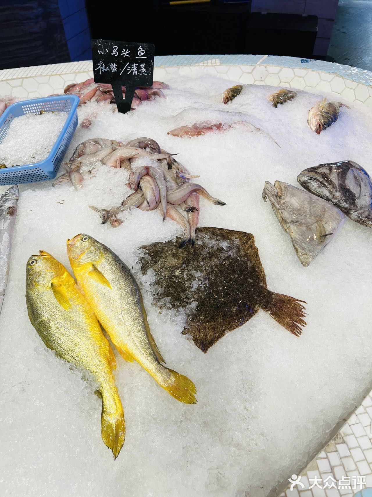 哇塞！北京西路上发现一家宝藏小海鲜！