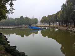 -中国西峡恐龙遗迹园