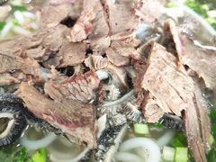 -攀枝花·任德琼·盐边羊肉米线