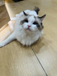 -小象动悟公园(龙湖亦庄天街店)