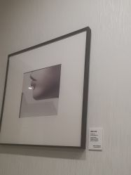 -智美品质医美