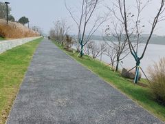 -羊山湖公园