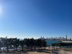 -小麦岛公园