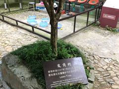-太湖源风景区