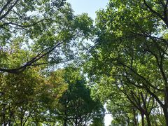 -上海海事大学(临港校区)