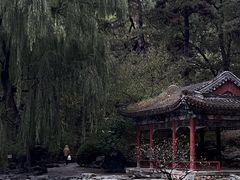 -香山公园