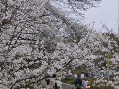 -杭州少年儿童公园