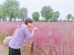 -汉长安城未央宫国家考古遗址公园