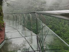 -千岛湖石林