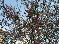 -杭州城北体育公园