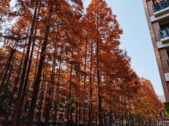 -浙江大学(玉泉校区)