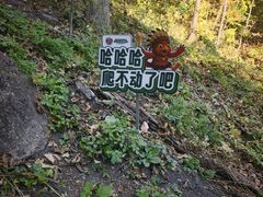 -吉林市朱雀山国家森林公园