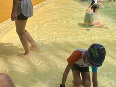 -杭州开元森泊度假乐园