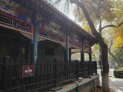 -宣武艺园