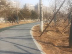 -回龙观体育文化公园