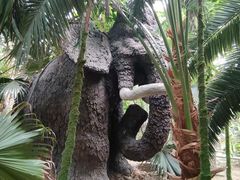-呀路古热带植物园