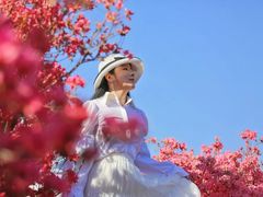 -木兰云雾山