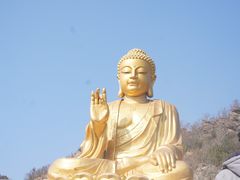 -大伊山景区