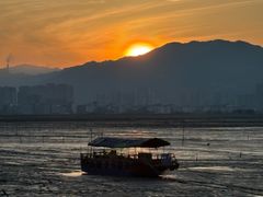 -北岐滩涂