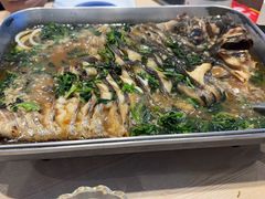 -鱼酷活鱼烤鱼(沈阳大悦城店)