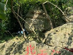 -紫金山山顶公园