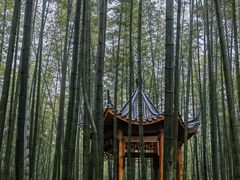 -蜀南竹海景区