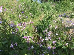 -白草畔自然风景区