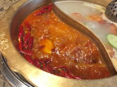 红白鸳鸯锅-小龙坎火锅(东汇城店)