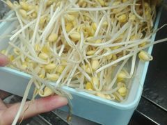 -楠柏弯休闲山庄(梨花溪店)