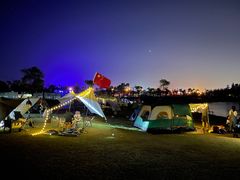 -春花秋色城市公园