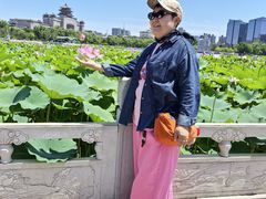 -莲花池公园