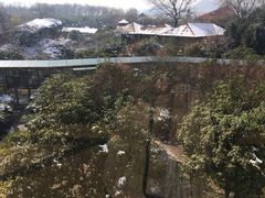 -金孔雀温泉旅游度假村