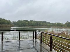 -昆山城市生态森林公园