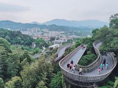 -福道