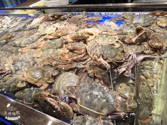 -诱货海鲜自助火锅(爱琴海购物公园东百店)