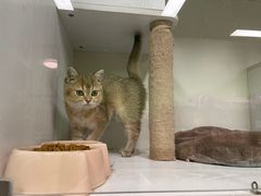 -沐沐家宠物(成寿寺店)