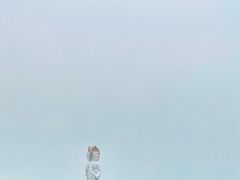 -三亚南山文化旅游区