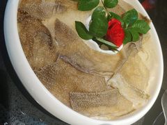 屠场鲜毛肚-宽板凳老灶火锅(外馆斜街店)