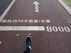 -南宁南湖公园