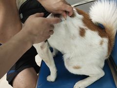 -申普宠物医院·眼科·心内科·影像科(普陀分院)