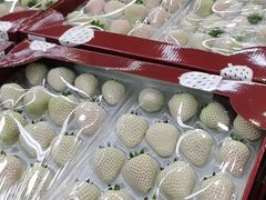 -山姆会员商店(杨桥西路店)